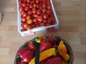 Prodej chaty, Lom, 27 m2