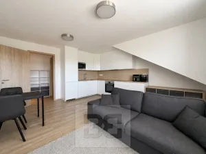 Prodej bytu 2+kk, Brno, Táborská, 66 m2