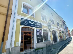 Prodej bytu 1+kk, Štětí, Krátká, 24 m2