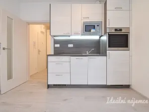 Pronájem bytu 1+kk, Brno, Střední, 29 m2