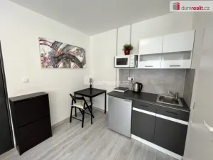 Pronájem bytu 1+kk, Kačice, K zahradě, 18 m2