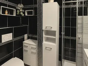 Prodej bytu 2+kk, Ostrava, Svojsíkova, 48 m2