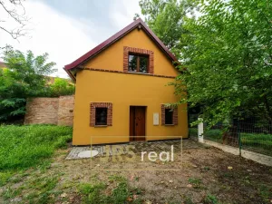 Prodej - jiné, Hrušovany nad Jevišovkou, 84 m2