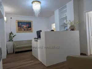 Pronájem kanceláře, Praha - Žižkov, Chelčického, 111 m2