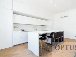 Pronájem bytu 6+kk a větší, Praha - Staré Město, Dušní, 380 m2