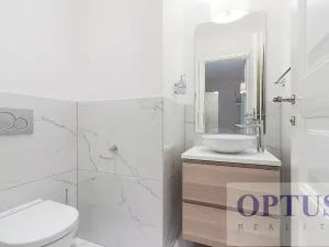 Pronájem bytu 6+kk a větší, Praha - Staré Město, Dušní, 380 m2