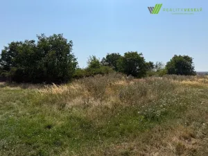 Prodej pozemku, Moravský Žižkov, 2593 m2
