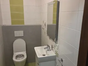 Pronájem bytu 1+1, Napajedla, Nábřeží, 33 m2
