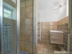 Prodej zemědělské usedlosti, Medonosy, 200 m2