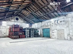 Pronájem výrobních prostor, Dětřichov, 6890 m2