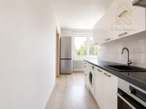 Prodej bytu 2+1, Ústí nad Labem - Střekov, Tolstého, 62 m2