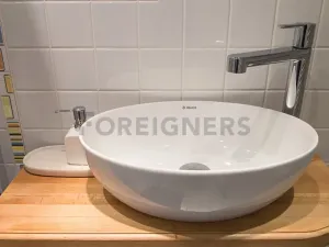 Pronájem bytu 1+kk, Praha, Myslbekova, 25 m2