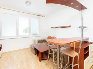 Pronájem bytu 1+1, Tábor, Leskovická, 37 m2