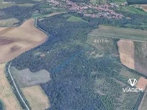 Prodej lesa, Silůvky, 4817 m2