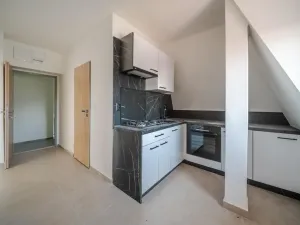 Prodej činžovního domu, Ostrava - Zábřeh, Svatoplukova, 263 m2