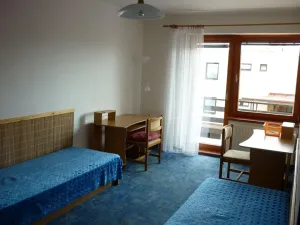Pronájem pokoje, Pardubice, Jožky Jabůrkové, 15 m2