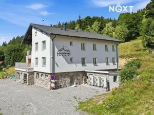 Prodej bytu 1+kk, Kubova Huť, 21 m2