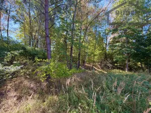Prodej pozemku pro bydlení, Přimda - Újezd pod Přimdou, 894 m2