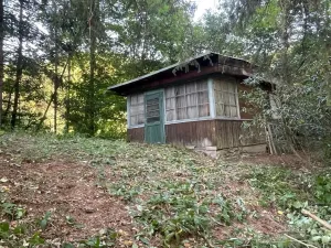 Prodej lesa, Štíty, 373 m2