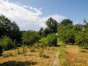 Prodej chaty, Řepiště, 20 m2