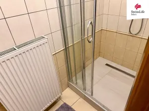 Pronájem bytu 2+kk, Plzeň - Vnitřní Město, Riegrova, 70 m2