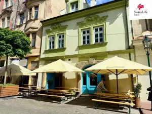 Pronájem bytu 2+kk, Plzeň - Vnitřní Město, Riegrova, 70 m2
