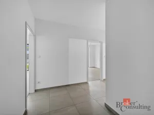 Prodej bytu 2+kk, Plzeň - Jižní Předměstí, Železná, 69 m2