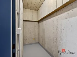 Prodej bytu 2+kk, Plzeň - Jižní Předměstí, Železná, 69 m2
