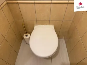 Pronájem bytu 2+kk, Plzeň - Vnitřní Město, Riegrova, 75 m2