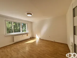 Pronájem bytu 2+1, Liberec, Gagarinova, 47 m2