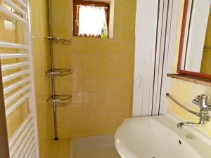 Pronájem rodinného domu, Domažlice, 80 m2