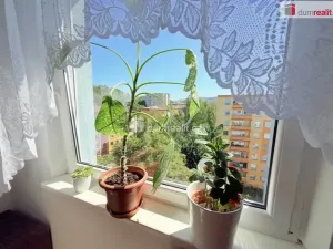Pronájem bytu 3+1, Ústí nad Labem - Krásné Březno, Neštěmická, 73 m2