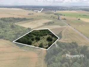 Prodej komerčního pozemku, Velká Dobrá, 15944 m2