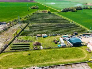 Prodej komerčního pozemku, Mlékojedy, 1000 m2