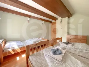Prodej rodinného domu, Bělá pod Pradědem, 225 m2