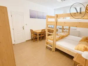 Prodej apartmánu, Přední Výtoň, 423 m2