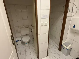 Prodej apartmánu, Přední Výtoň, 423 m2