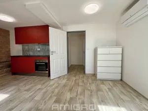 Pronájem bytu 1+kk, Brno, Bašty, 34 m2
