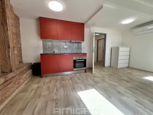 Pronájem bytu 1+kk, Brno, Bašty, 34 m2