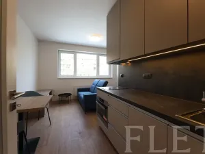 Pronájem bytu 1+kk, Praha - Holešovice, V háji, 30 m2