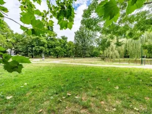 Pronájem bytu 2+kk, Praha - Karlín, Březinova, 50 m2