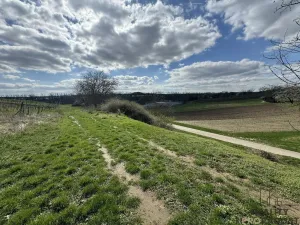 Prodej sadu/vinice, Mutěnice, 1540 m2