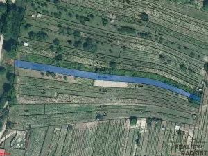 Prodej sadu/vinice, Mutěnice, 1540 m2