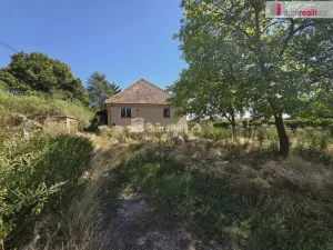 Prodej rodinného domu, Dolní Beřkovice, 337 m2