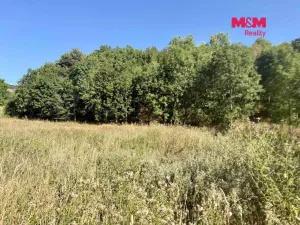 Prodej pozemku pro bydlení, Velemín, 5378 m2