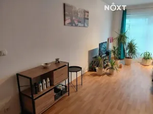 Pronájem bytu 1+kk, Pardubice, Bělehradská, 40 m2