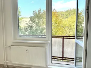 Prodej bytu 2+1, Brno, Olbrachtovo náměstí, 58 m2