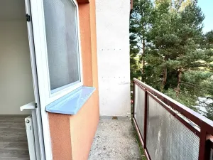 Prodej bytu 2+1, Brno, Olbrachtovo náměstí, 58 m2