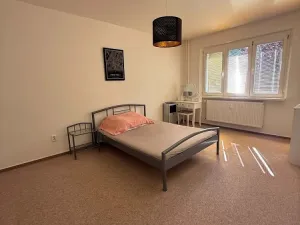 Pronájem bytu 2+1, Opava - Předměstí, Purkyňova, 55 m2