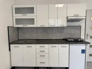 Pronájem bytu 1+kk, Příbram, Ve Dvoře, 29 m2